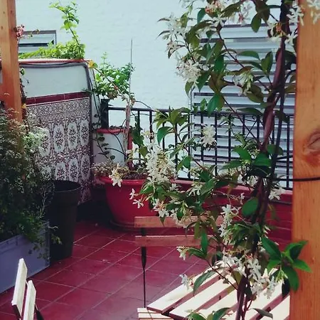 Guest house Conde Cecilio 2*